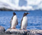 Antarctic Peninsula: Crossing the Circle