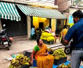 Kerala & the Tropical South