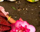 Kerala & the Tropical South