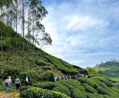 Kerala & the Tropical South