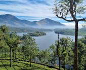 Spice Trails of Kerala