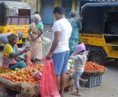 Spice Trails of Kerala