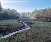 Spice Trails of Kerala