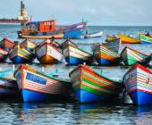 Kerala & the Tropical South