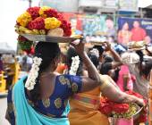 Kerala & the Tropical South