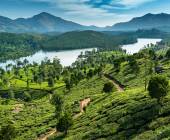 Kerala & the Tropical South
