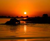 Cape Town to Victoria Falls – Hotel/Lodge