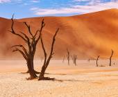 Cape Town to Victoria Falls – Hotel/Lodge