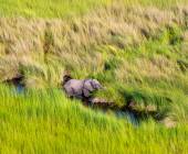 Cape Town to Victoria Falls – Hotel/Lodge