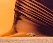 Cape Town to Victoria Falls – Hotel/Lodge