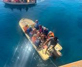 Primates & Dragons of Indonesia