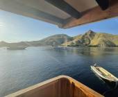 Primates & Dragons of Indonesia