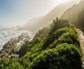 Cape Town and the Garden Route – Premium Adventure