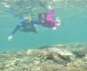 Primates & Dragons of Indonesia