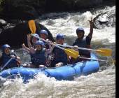 Primates & Dragons of Indonesia