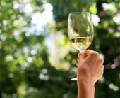 Cape Town to Victoria Falls – Hotel/Lodge