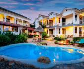 Chimps & Gorillas of Uganda