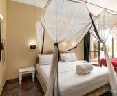 Chimps & Gorillas of Uganda