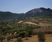Walking in Andalucia