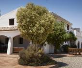 Walking in Andalucia