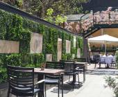 Hike Bulgaria’s Rodopi Mountains