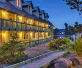 Whales & Bears of British Columbia