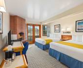 Whales & Bears of British Columbia