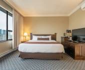 Whales & Bears of British Columbia