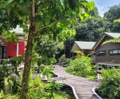 Borneo Family Wildlife Adventure