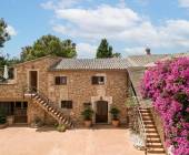 Finca Es Torrent, Campos