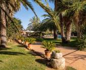 Finca Es Torrent, Campos