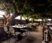 Cycle Kerala & Tropical India