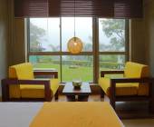 Sri Lankan Highlights