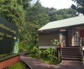 Borneo Family Wildlife Adventure