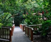 Pachira Lodge