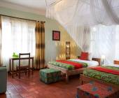 Chimps & Gorillas of Uganda