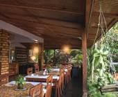 Chimps & Gorillas of Uganda