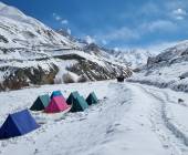 Search for Snow Leopards with Valerie Parkinson