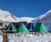 Search for Snow Leopards with Valerie Parkinson