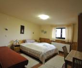 Carpathian Walking & Bears