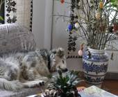 Transylvania Winter Walk & Snowshoe