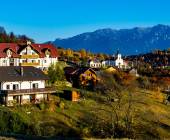 Carpathian Walking & Bears