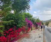 Walking in North Cyprus