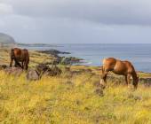 Easter Island Add-on Tour