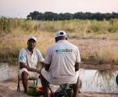 Zambezi Canoe Safari