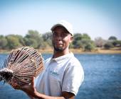 Zambezi Canoe Safari