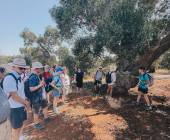 Walking in Puglia & Matera