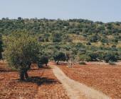 Walking in Puglia & Matera
