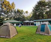 Greenwood Resort camping