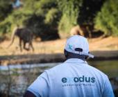 Zambezi Canoe Safari